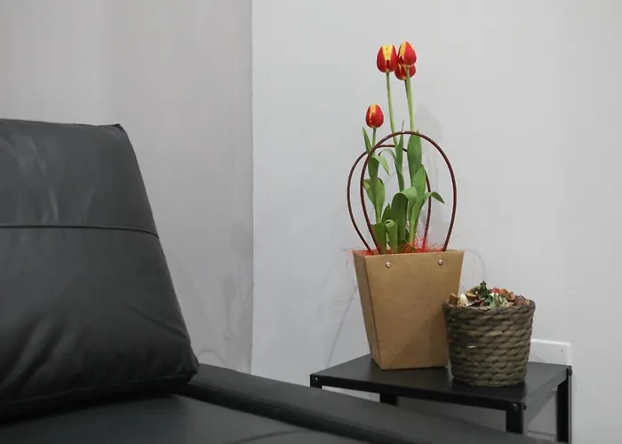 Kellas 펜션 바리